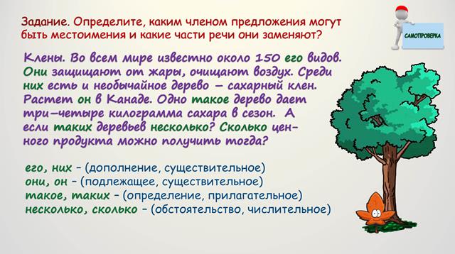 Отрицательные и неопределенные местоимения